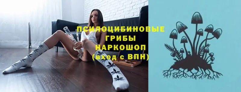 Галлюциногенные грибы ЛСД  shop клад  Арск 